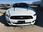 2016 Mustang Thumbnail 4