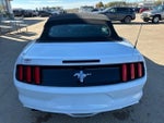 2016 Mustang Thumbnail 12