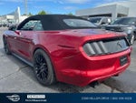 2016 Mustang Thumbnail 6