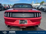 2016 Mustang Thumbnail 7