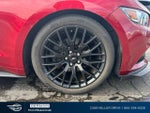 2016 Mustang Thumbnail 11
