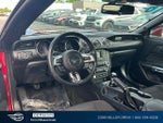 2016 Mustang Thumbnail 14