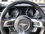 2015 Mustang Thumbnail 14