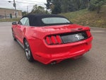 2017 Mustang Thumbnail 2