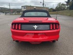 2017 Mustang Thumbnail 3