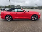2017 Mustang Thumbnail 5