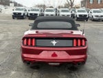 2017 Mustang Thumbnail 3