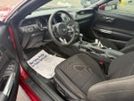 2017 Mustang Thumbnail 7
