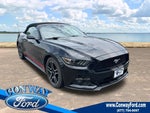2015 Mustang Thumbnail 1