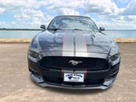 2015 Mustang Thumbnail 2