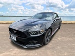 2015 Mustang Thumbnail 4