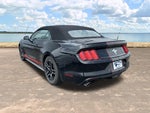 2015 Mustang Thumbnail 7