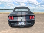 2015 Mustang Thumbnail 8