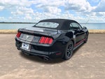2015 Mustang Thumbnail 9