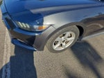 2016 Mustang Thumbnail 3