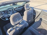 2016 Mustang Thumbnail 11