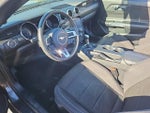 2016 Mustang Thumbnail 14