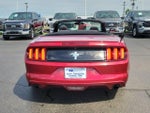 2017 Mustang Thumbnail 5