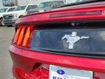 2017 Mustang Thumbnail 10