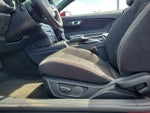 2017 Mustang Thumbnail 16