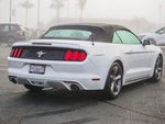 2015 Mustang Thumbnail 4