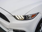 2015 Mustang Thumbnail 20