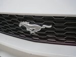 2015 Mustang Thumbnail 21