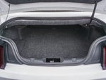 2015 Mustang Thumbnail 22