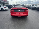 2016 Mustang Thumbnail 4