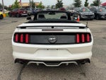 2017 Mustang Thumbnail 4