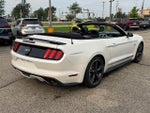 2017 Mustang Thumbnail 5