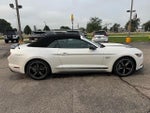 2017 Mustang Thumbnail 9