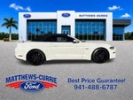 2019 Mustang Thumbnail 3