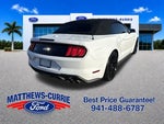 2019 Mustang Thumbnail 4