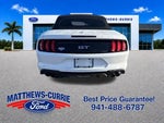 2019 Mustang Thumbnail 5