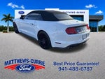 2019 Mustang Thumbnail 6