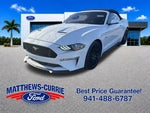 2019 Mustang Thumbnail 7