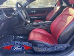 2019 Mustang Thumbnail 9