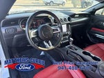 2019 Mustang Thumbnail 11