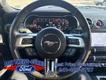 2019 Mustang Thumbnail 16