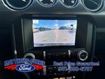 2019 Mustang Thumbnail 18