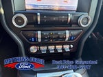 2019 Mustang Thumbnail 19
