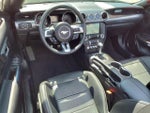 2019 Mustang Thumbnail 4