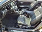 2019 Mustang Thumbnail 5