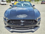 2019 Mustang Thumbnail 9