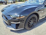 2019 Mustang Thumbnail 10