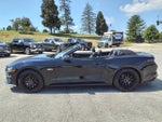 2019 Mustang Thumbnail 13