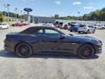 2019 Mustang Thumbnail 19