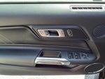 2019 Mustang Thumbnail 28