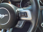 2019 Mustang Thumbnail 31